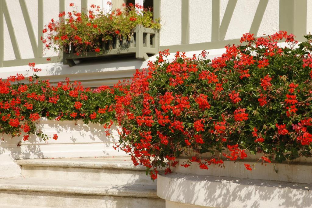 Bed and Breakfast Manoir De Benerville Довиль Экстерьер фото